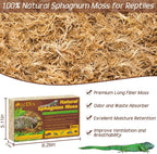 Natural dried terrarium moss bedding substrate expanding in water