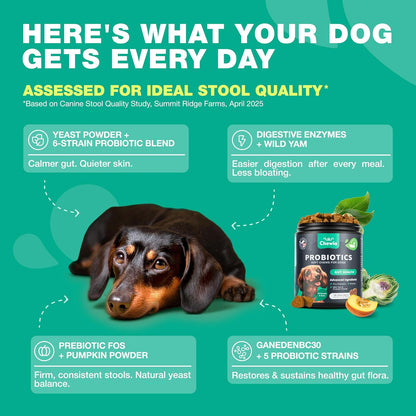 Close up view of duck flavored probiotic soft chews for all canine sizes.