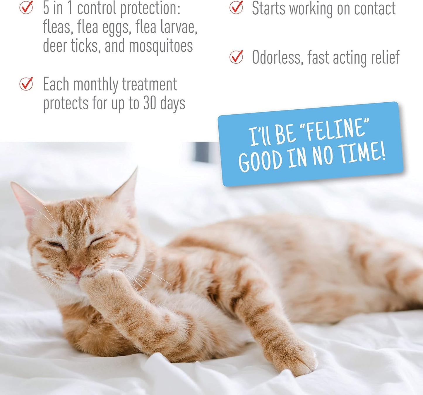 Authentic USA imported pest control drops for small kittens application guide