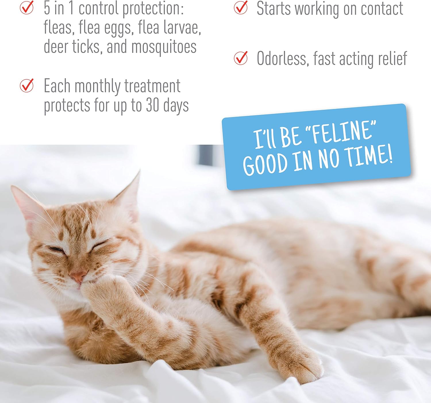 Authentic USA imported pest control drops for small kittens application guide