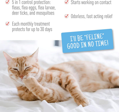Authentic USA imported pest control drops for small kittens application guide