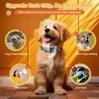 Dinjoo waterproof dog collar digital display