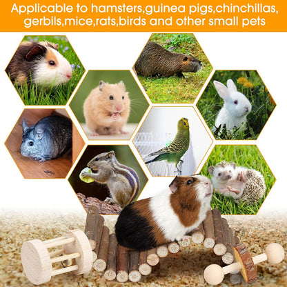 Wooden hamster seesaw and unicycle roller toy showcasing the safe pet gnawing textures.