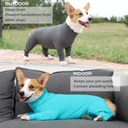 Parderry calming dog shirt lifestyle view of a relaxed recovering pet