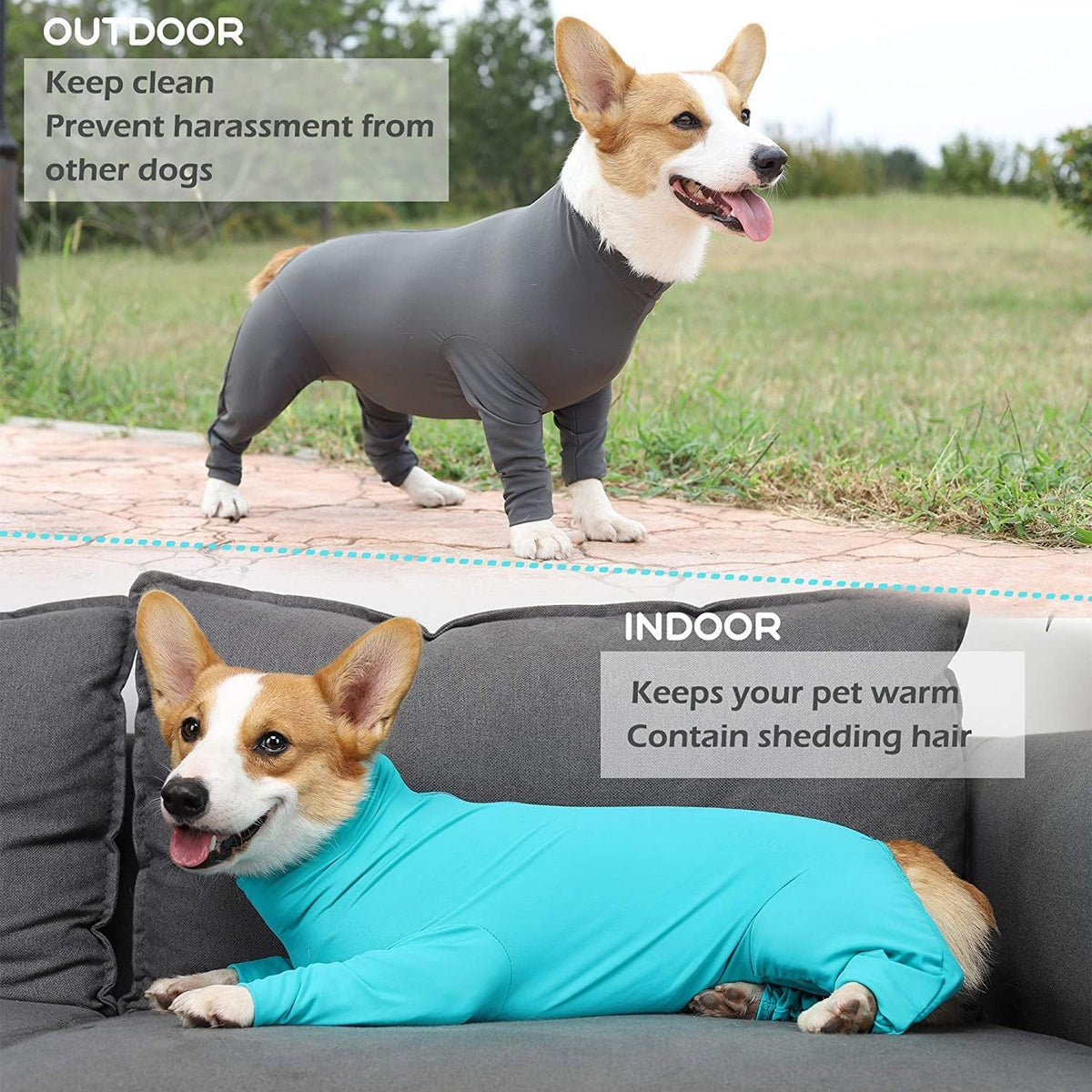 Parderry calming dog shirt lifestyle view of a relaxed recovering pet