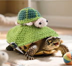 Small pet turtle wearing the green warm costume during a holiday photo shoot