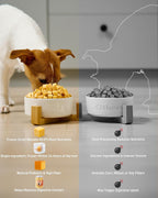 Rehydrated pumpkin treats for pets with sensitive stomachs.