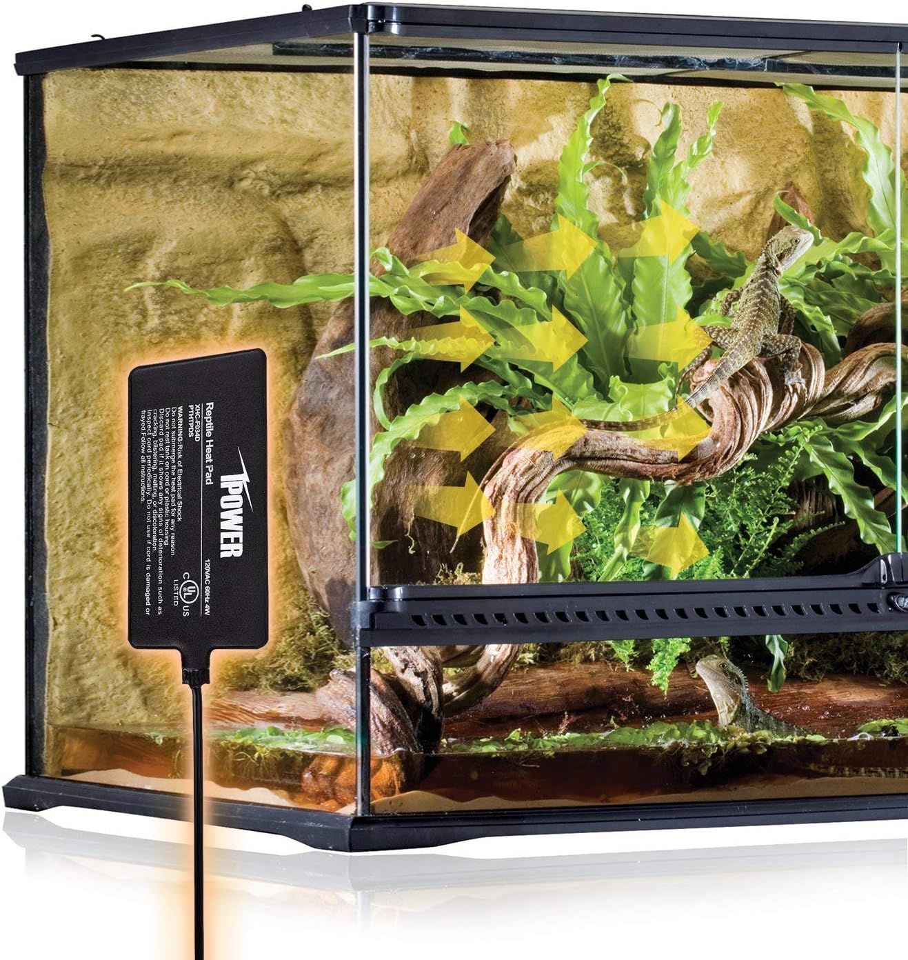 Small animal terrarium using iPower heat pad
