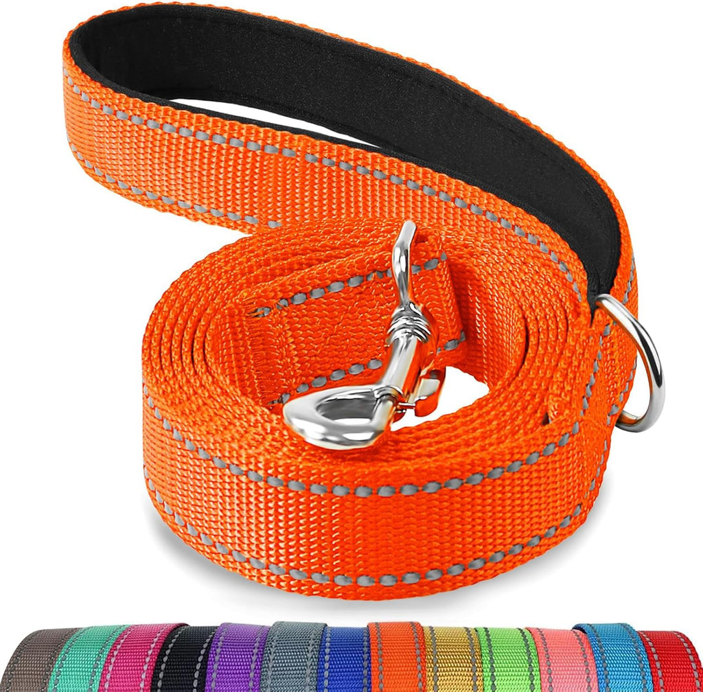 Authentic Joytale six feet nylon dog leash for evening outdoor walks.