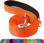 Authentic Joytale six feet nylon dog leash for evening outdoor walks.