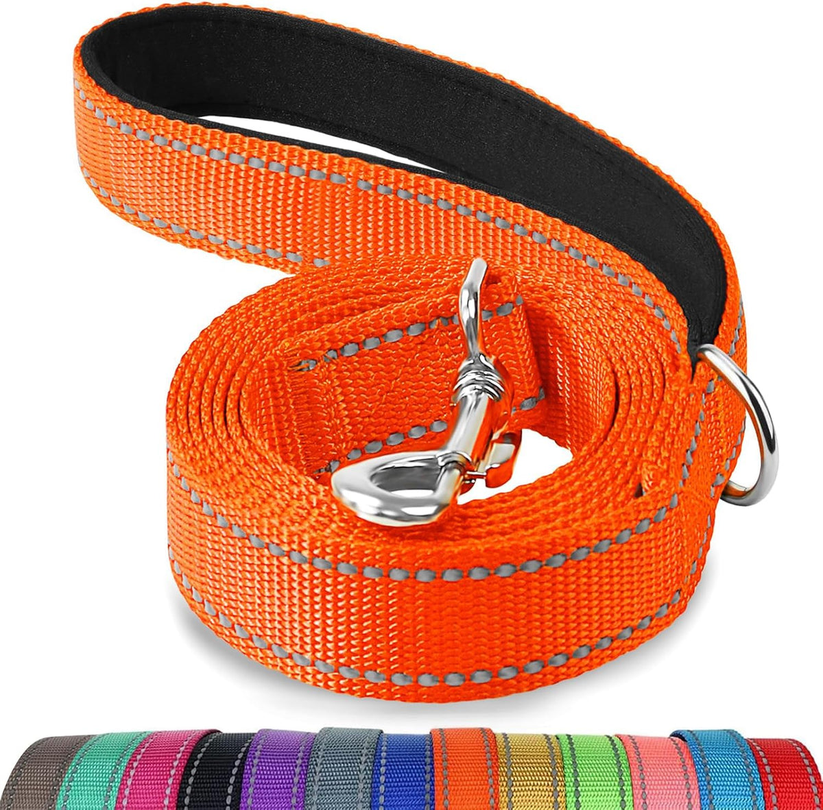 Authentic Joytale six feet nylon dog leash for evening outdoor walks.