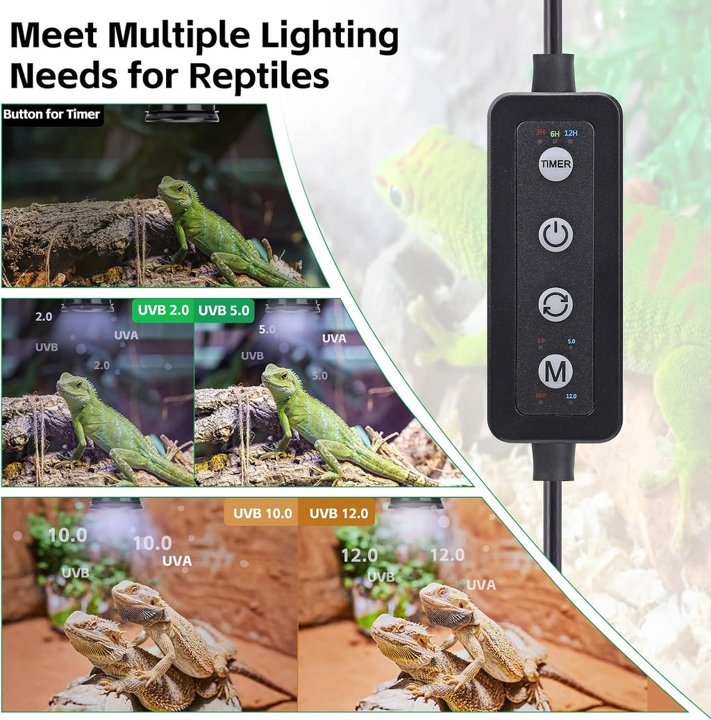 Automated timer and dimmer interface on the imported reptile hood fixture.