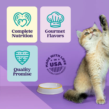 Strong Heart wet cat food 24 pack display