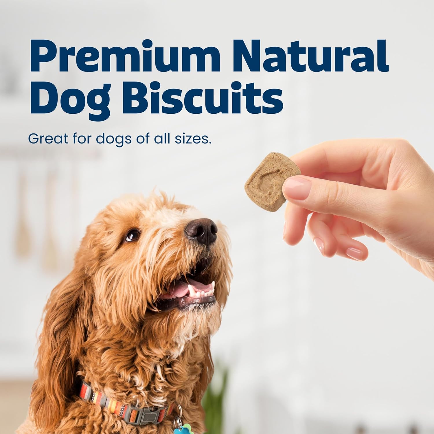 Oven baked crunchy dog biscuits with real pumpkin and cinnamon ingredients