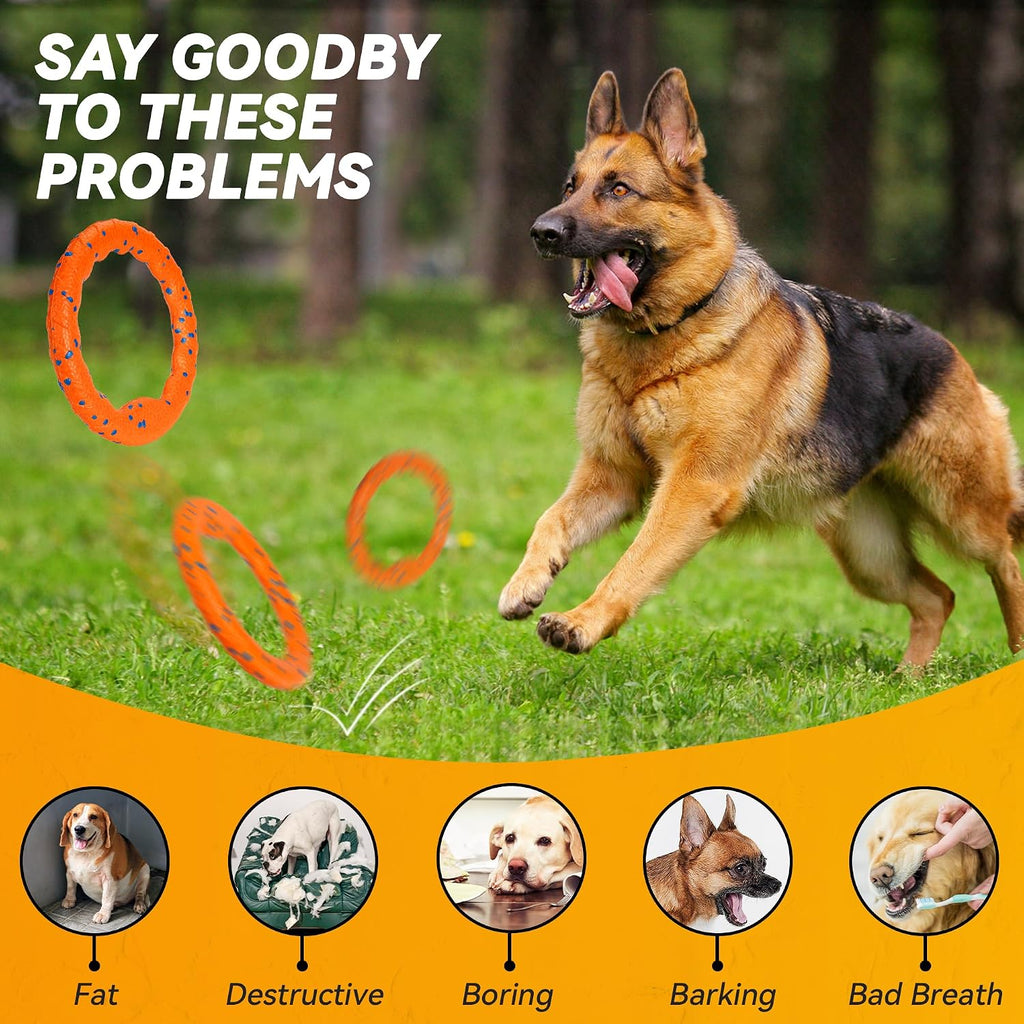 Owner throwing Fusoto dog ring for fetch training