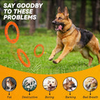 Owner throwing Fusoto dog ring for fetch training
