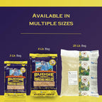 Healthy budgie next to a bowl of Hagen vitamin enriched seed mix