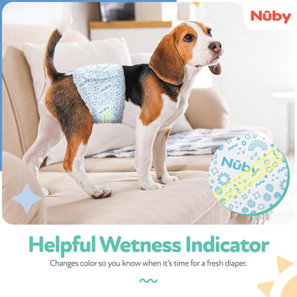 Adjustable fasteners on disposable male dog wraps for a secure and comfortable fit.