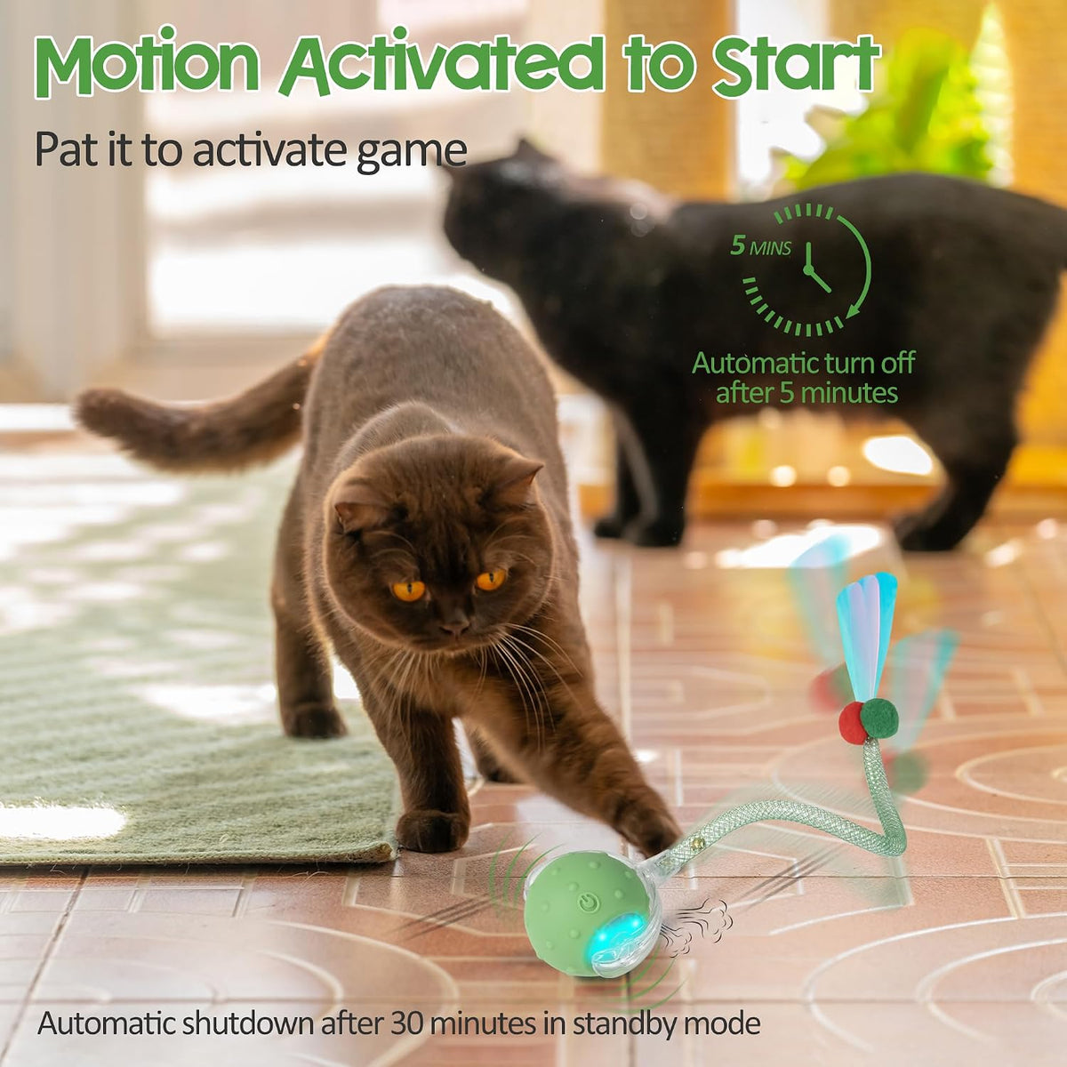 Plittpetts cat toy ball in motion on carpet