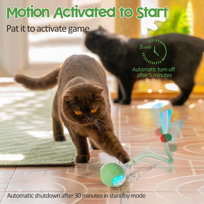 Plittpetts cat toy ball in motion on carpet
