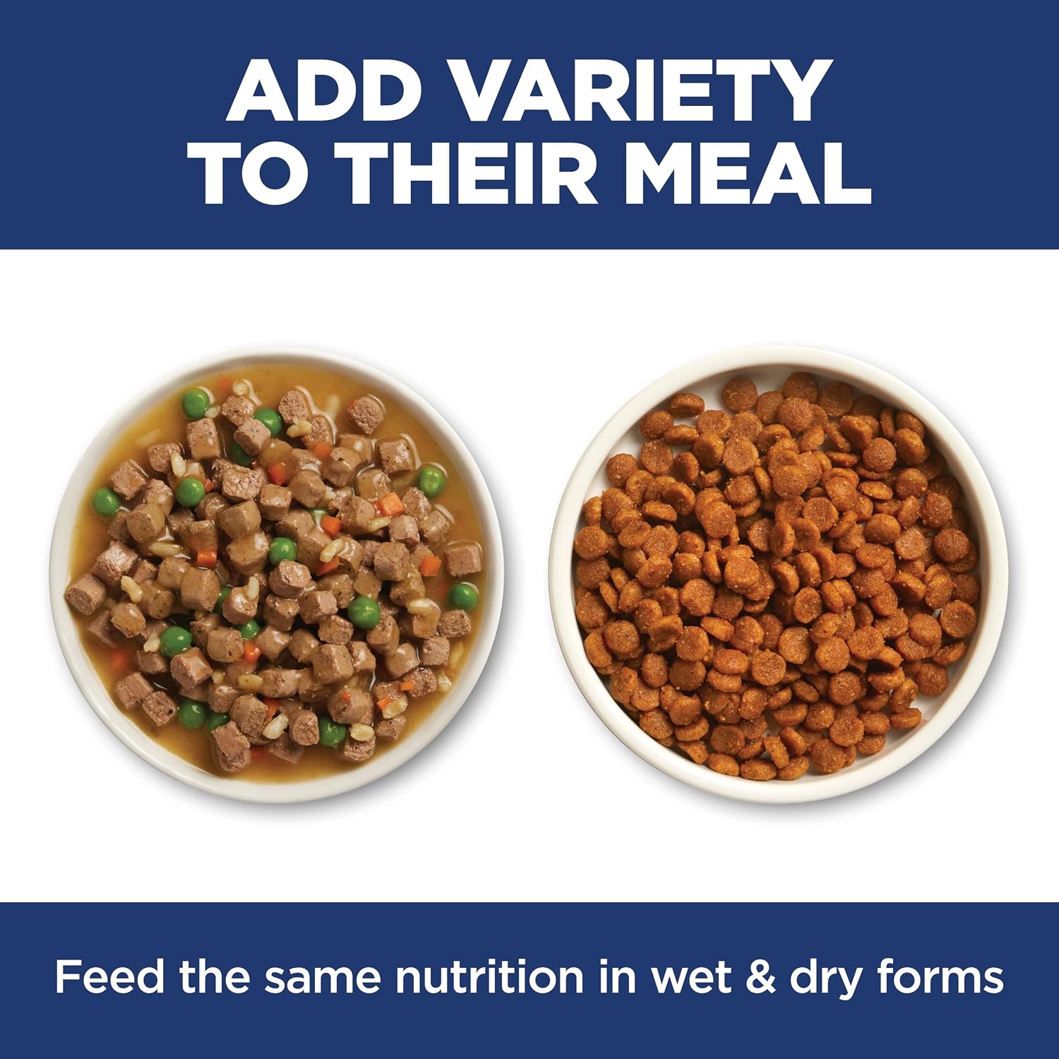 Hill's Science Diet Sensitive Stomach & Skin Dry Cat Food | #1 Veterinarian Recommended, Adult Formula, Salmon Recipe, 6 lb. Bag - Image 9