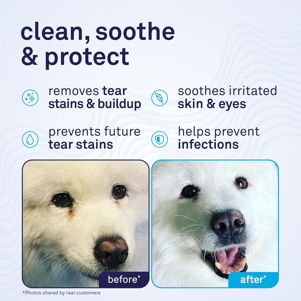Petpost dog eye wipes container with pre-soaked cotton pads