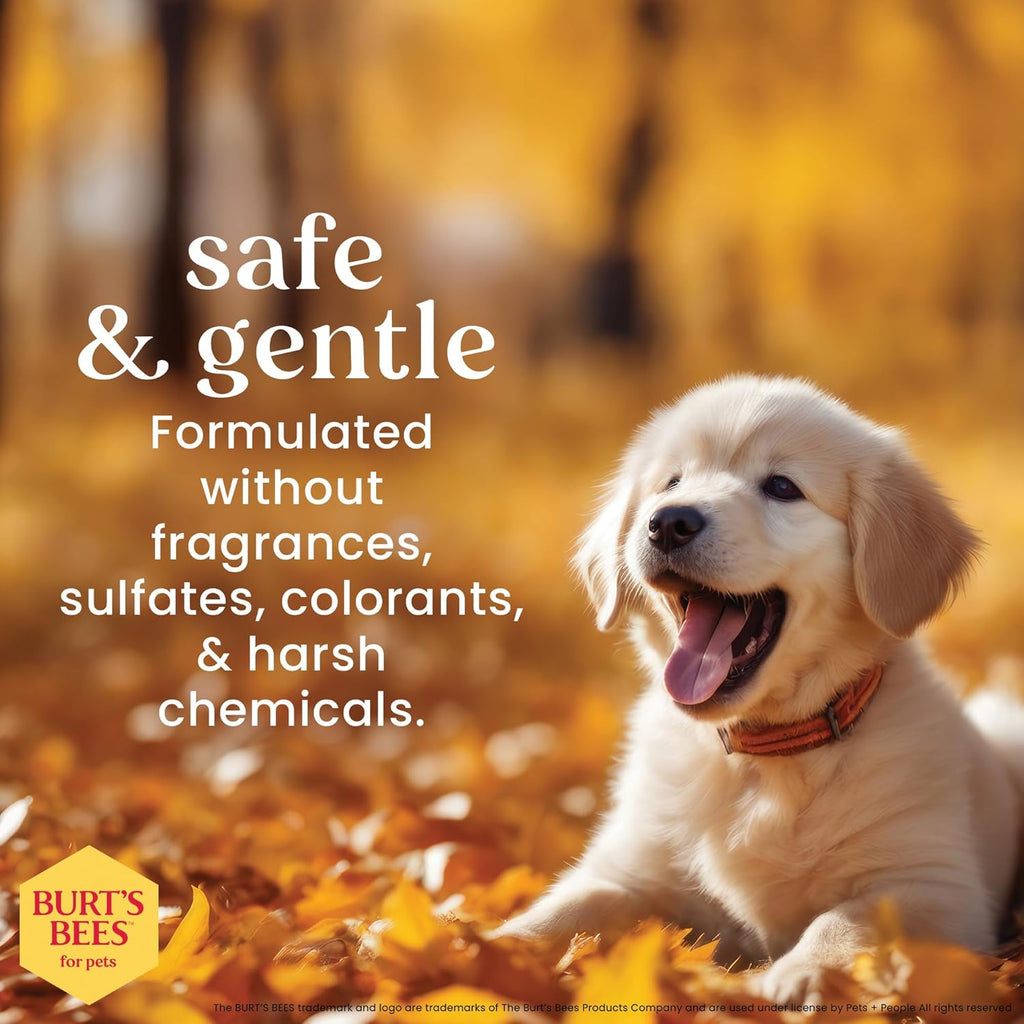 Burt's Bees for Pets puppy grooming product for sensitive skin