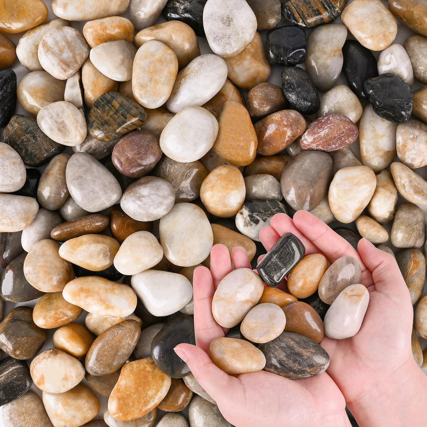 Dojobkinb river rocks for plants and aquariums front view