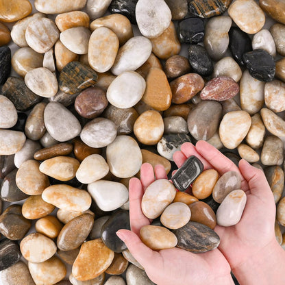 Dojobkinb river rocks for plants and aquariums front view