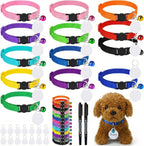 Small puppies wearing the colorful customized party favor collars at a celebration.