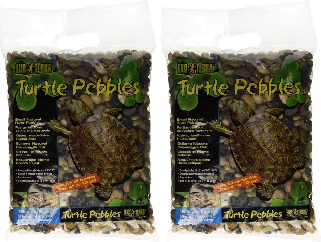 Exo Terra turtle pebbles multi colored display