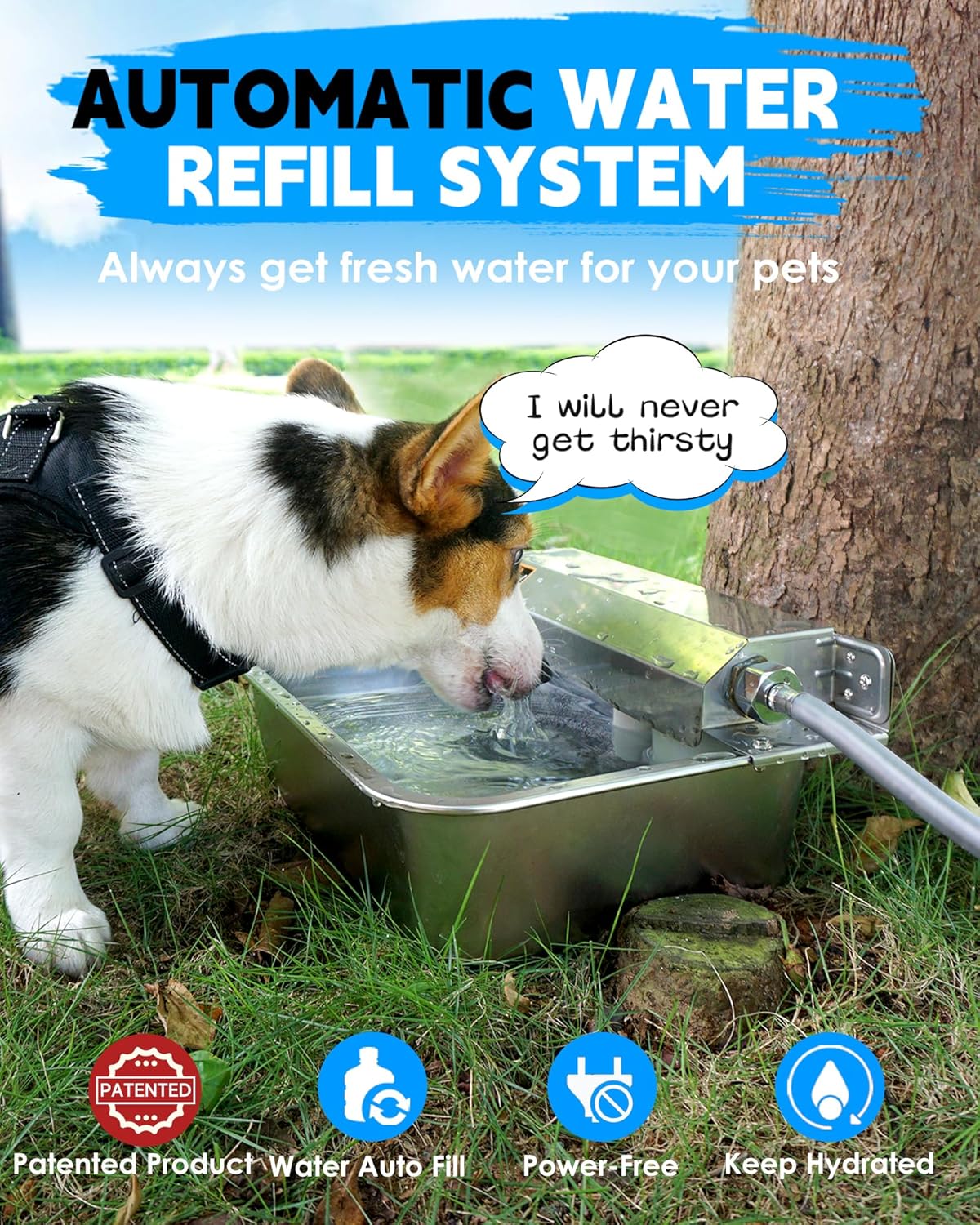 PETIMI two gallon automatic pet waterer connected to a garden hose outdoors
