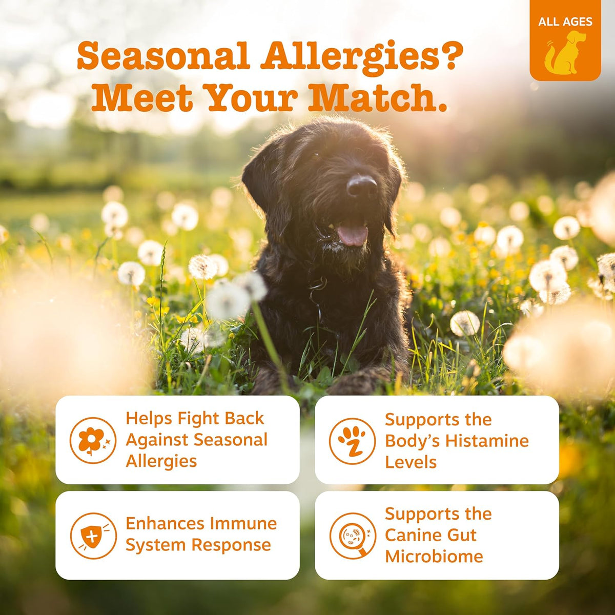 Zesty Paws dog allergy relief soft chews lamb flavor ninety count package details.