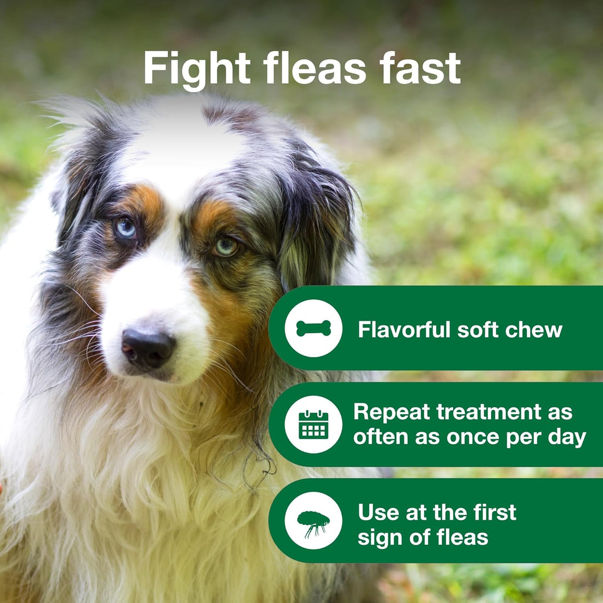 Elanco Advantus imidacloprid thirty seven point five milligrams flea control for puppies