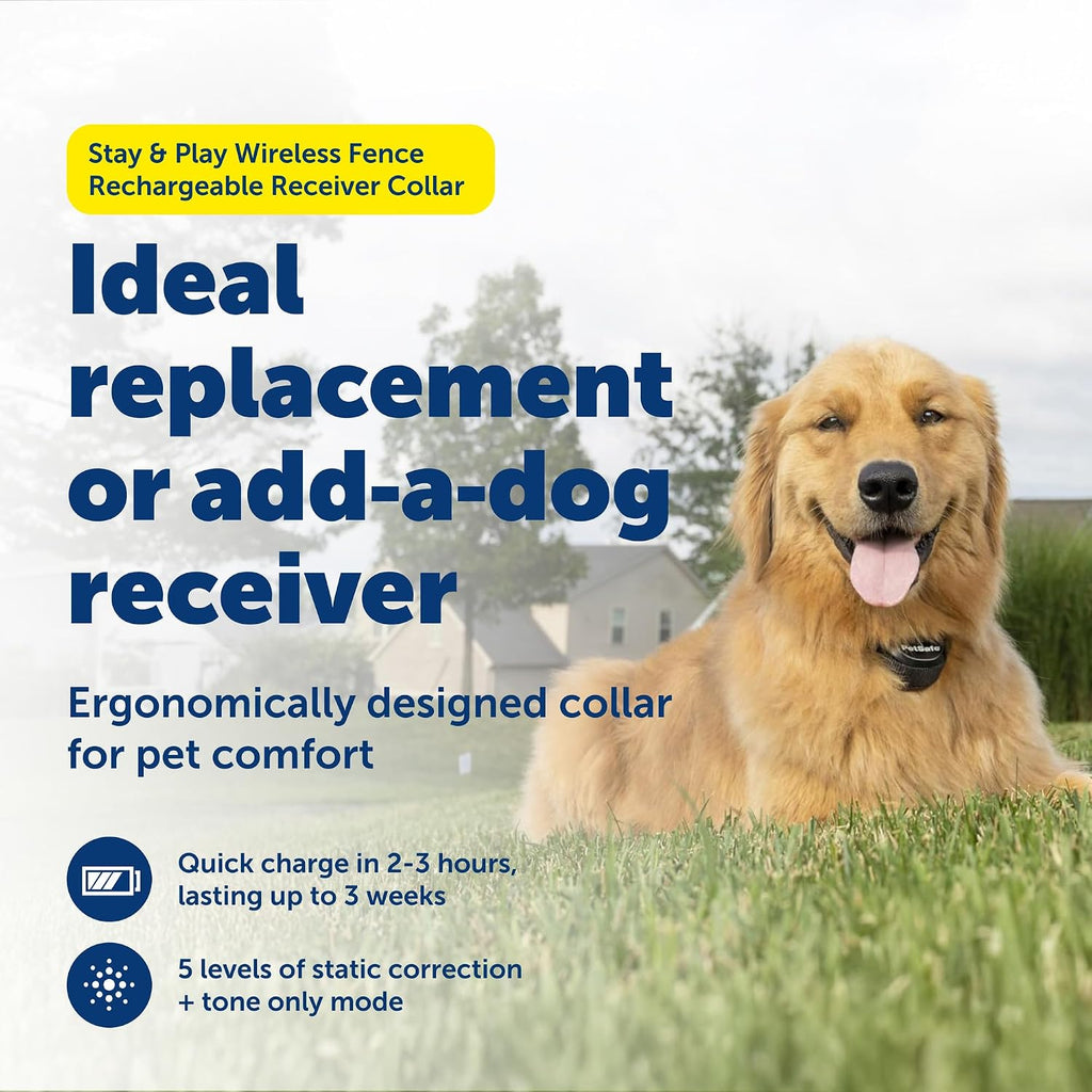 Waterproof rechargeable dog fence collar with adjustable black strap and contact points.
