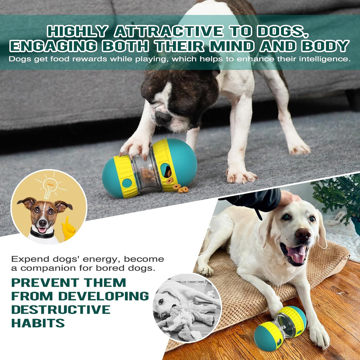 Transparent ABS food compartment of the Bsisuerm dog toy