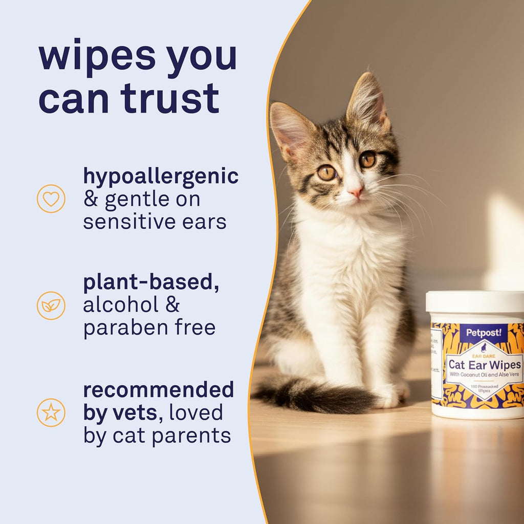 Petpost ear wipes container next to happy cat