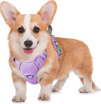 BARKBAY No Pull Dog Harness Large Reflective Dog Harness with Front Clip and Easy Control Handle for Walking Training Running with ID tag Pocket(Pink,L) - Image 11
