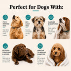 Bottle of Natural Dog Company oatmeal dog shampoo 12 fluid ounce