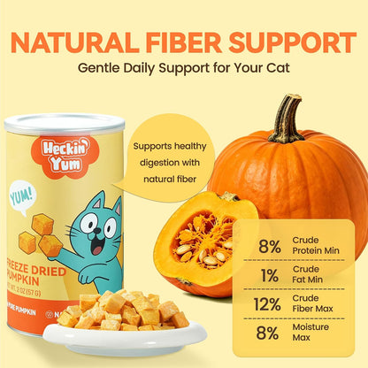Serving suggestion of freeze dried pumpkin topper on cat food