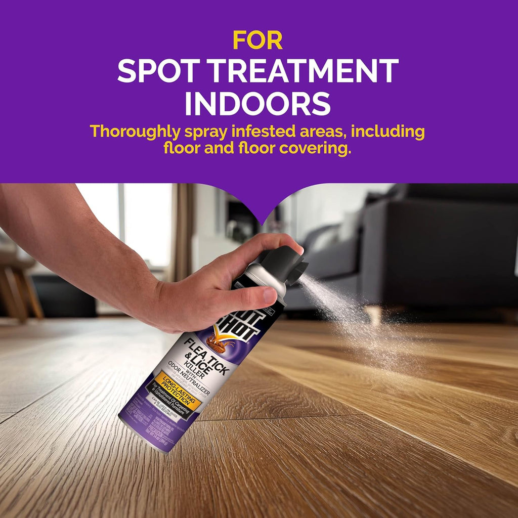 Hot Shot insecticide aerosol for carpets and furniture