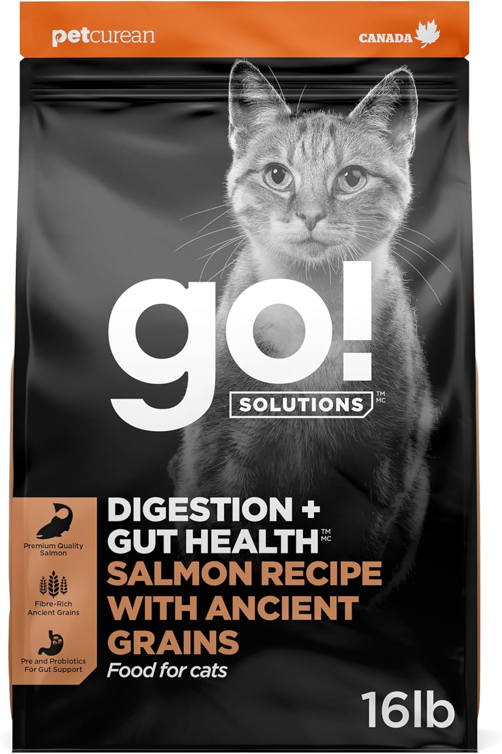 Go! Solutions Digestion + Gut Health Salmon Dry Cat Food, 3 lb | Chicken-Free Kibble for Gastrointestinal & Digestive Wellness, Supports Sensitive Stomachs, For Kittens, Adults & Seniors - Image 11