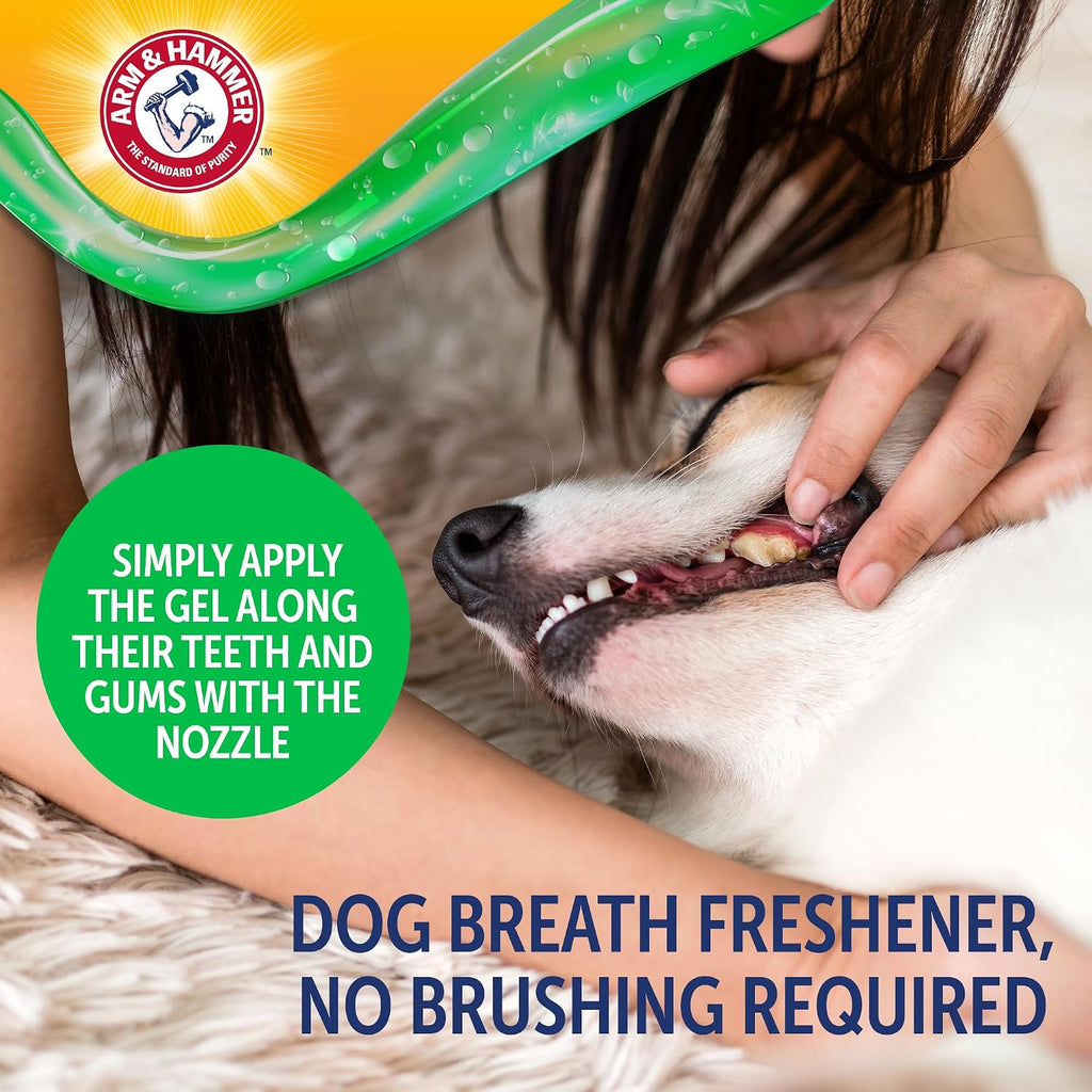 No brush dog toothpaste rub on gel application showing thick consistency