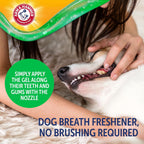 No brush dog toothpaste rub on gel application showing thick consistency