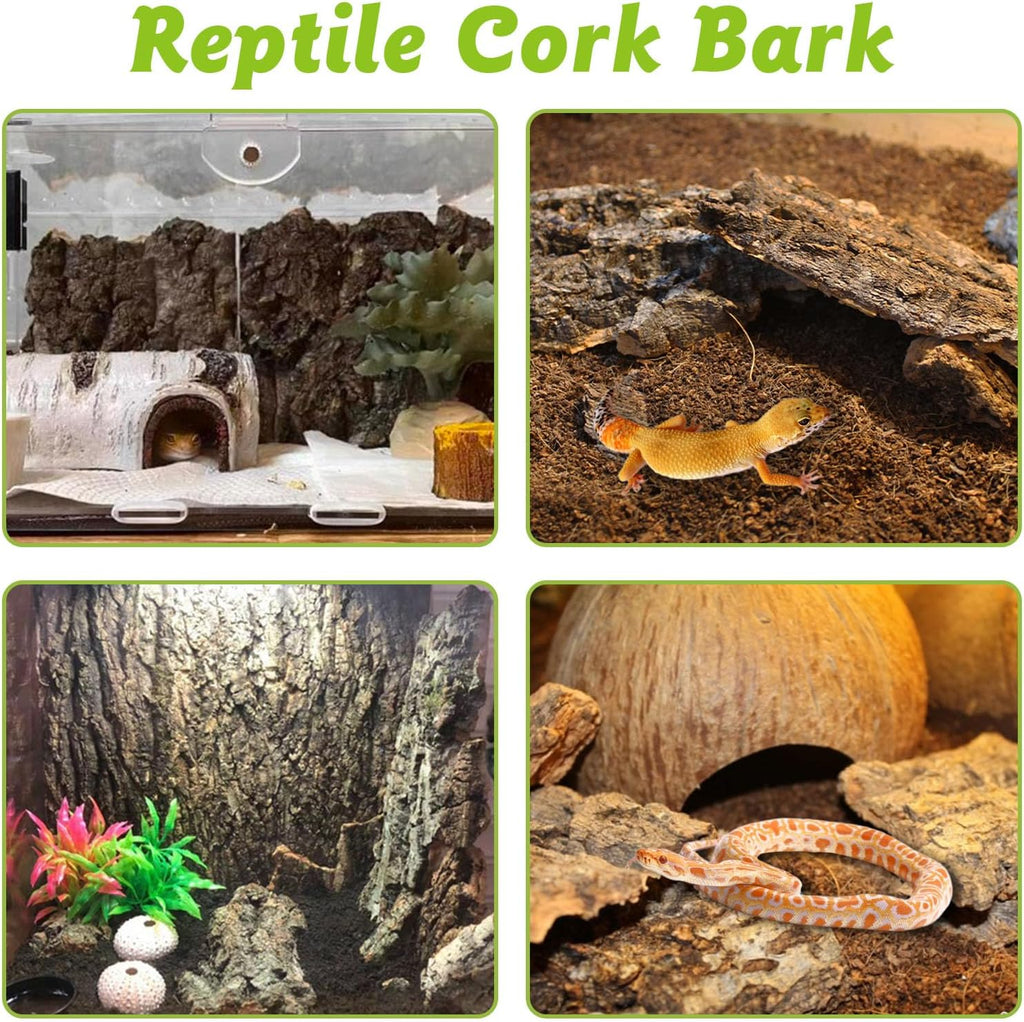 Natural cork flats showing rough surface details for reptile climbing friction
