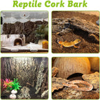 Natural cork flats showing rough surface details for reptile climbing friction