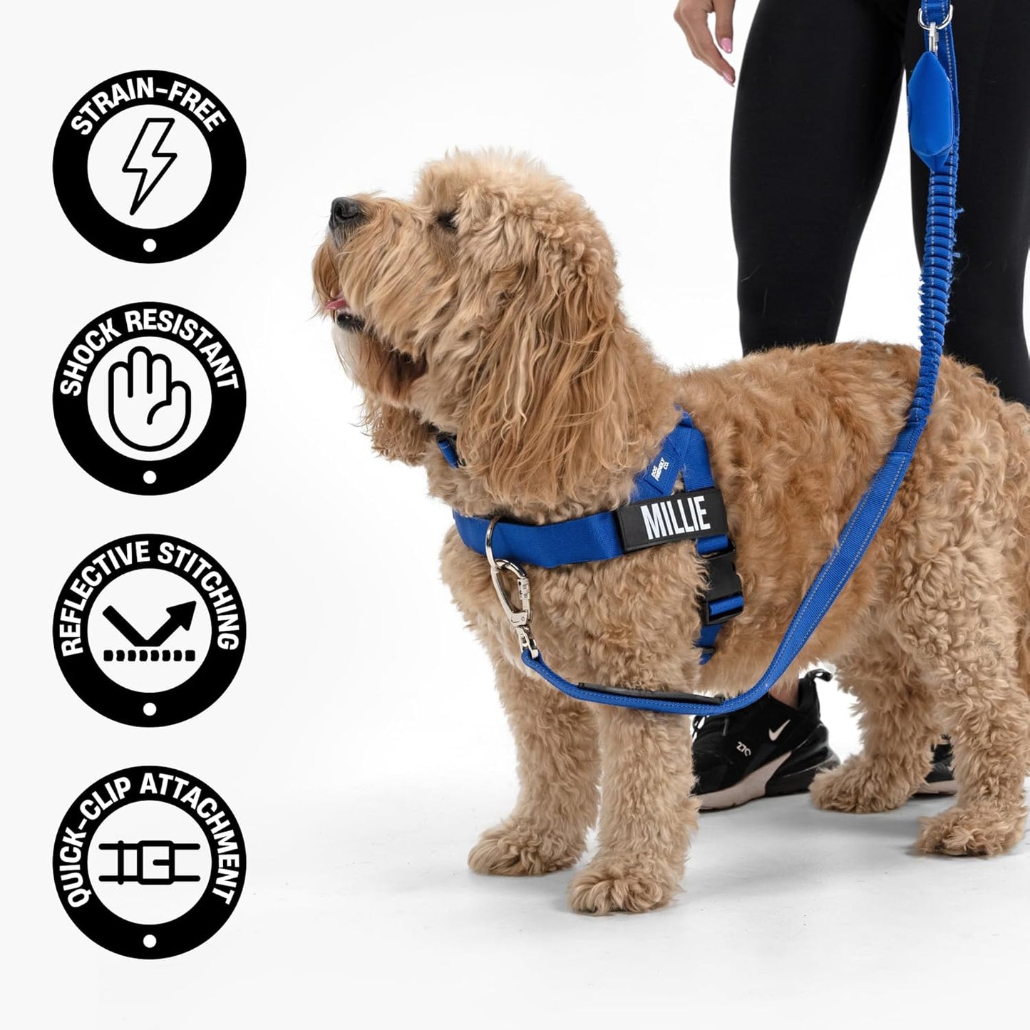 Close-up view of the heavy-duty metal carabiner locking clip on the Dog Friendly Co. khaki leash.