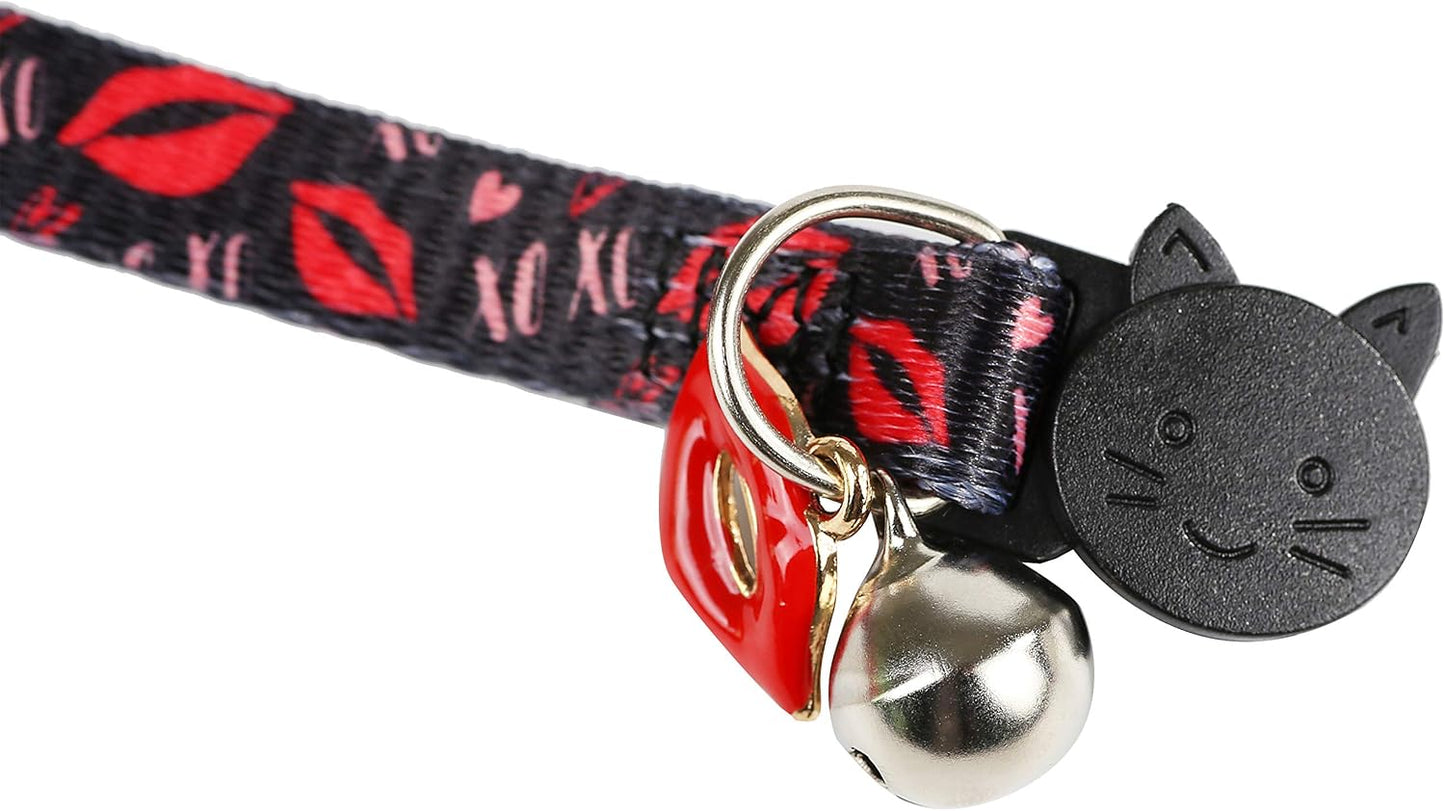 Small dog wearing BoomBone Valentines Day collar