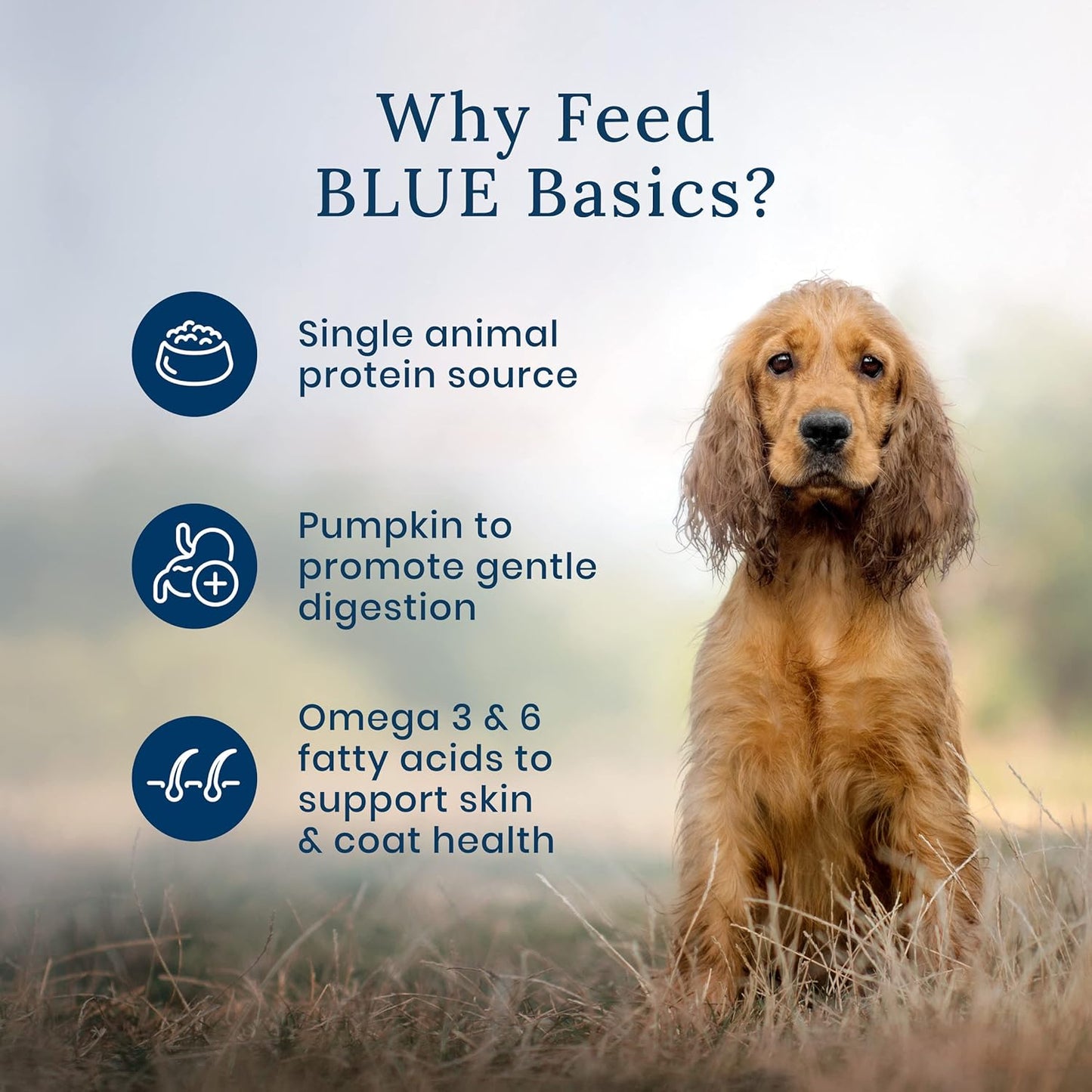 Blue Buffalo Basics Skin and Stomach Care nutritional benefits label