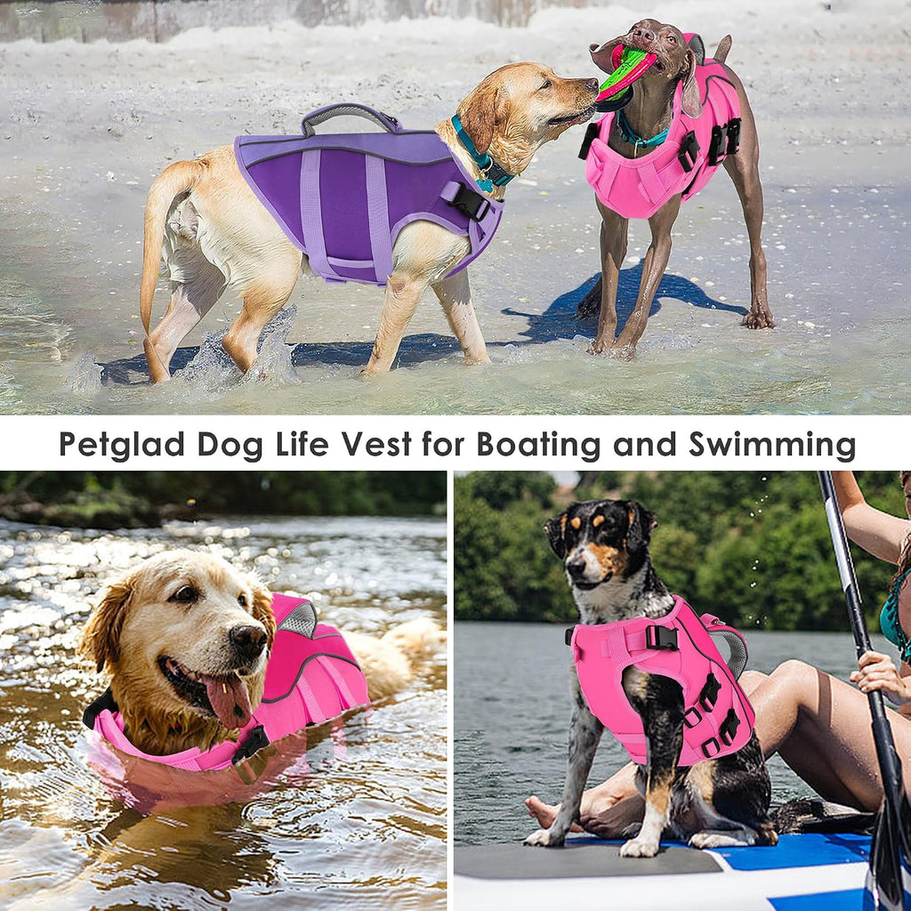 Quick release adjustable buckles on premium pet swim safety gear
